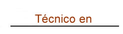 Técnico en